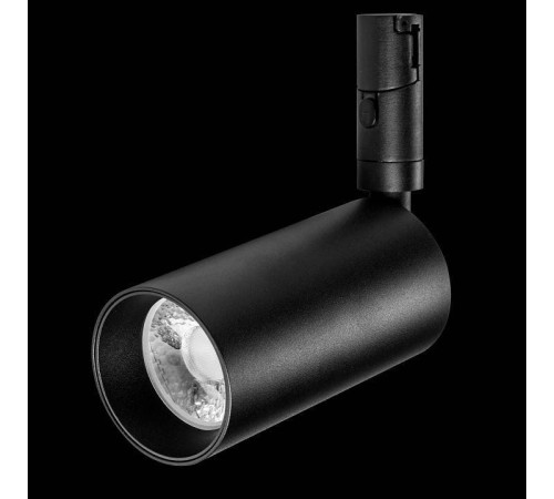 Светильник на штанге Lightstar DUE 207337