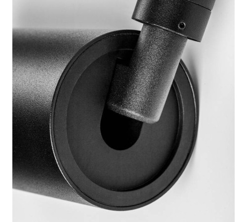 Светильник на штанге Lightstar DUE 207337