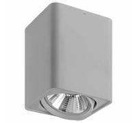 Светильник накладной Lightstar Monocco 212639