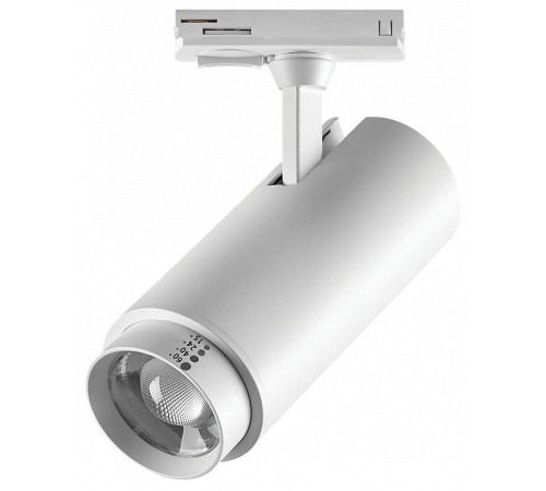 Светильник на штанге Lightstar Fuoco P+CCT 218026