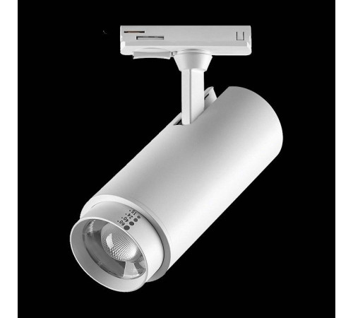 Светильник на штанге Lightstar Fuoco P+CCT 218026