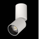 Светильник на штанге Lightstar Volta CCT 227006
