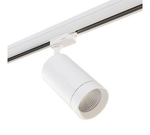 Светильник на штанге Lightstar Canno 303564