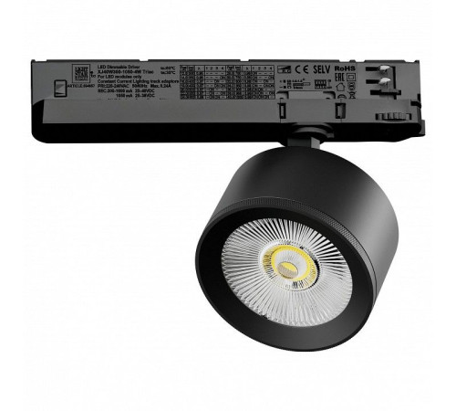 Светильник на штанге Lightstar Alta Pro A5547TRIAC