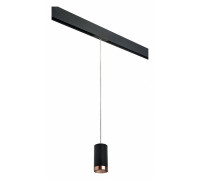 Подвесной светильник Lightstar Rullo PRORP437430
