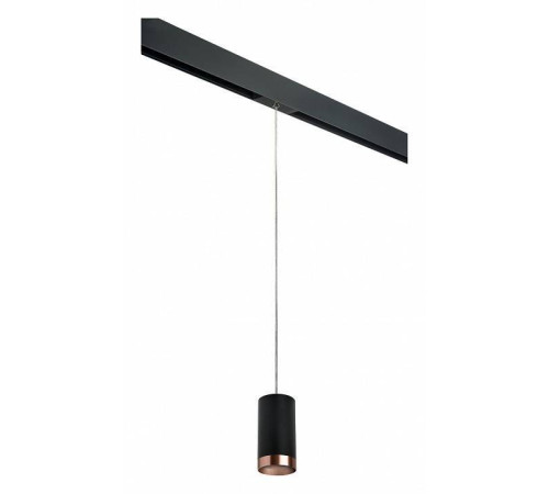Подвесной светильник Lightstar Rullo PRORP437430