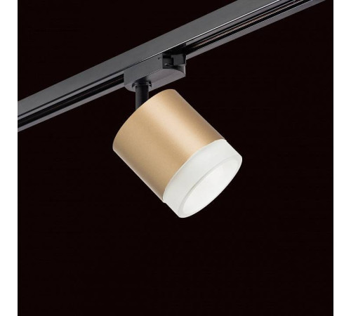 Светильник на штанге Lightstar Rullo R1T349080