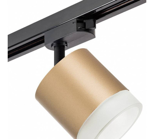 Светильник на штанге Lightstar Rullo R1T349080