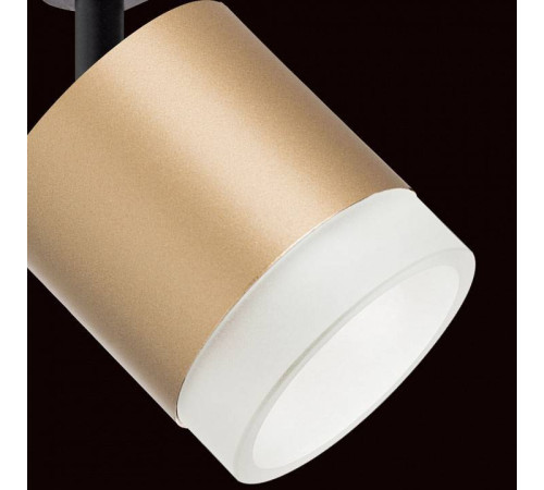 Светильник на штанге Lightstar Rullo R1T349080