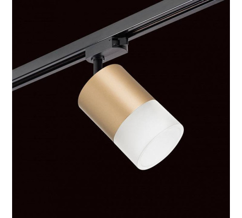 Светильник на штанге Lightstar Rullo R1T349081