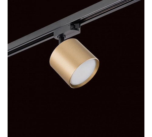 Светильник на штанге Lightstar Rullo R1T3490