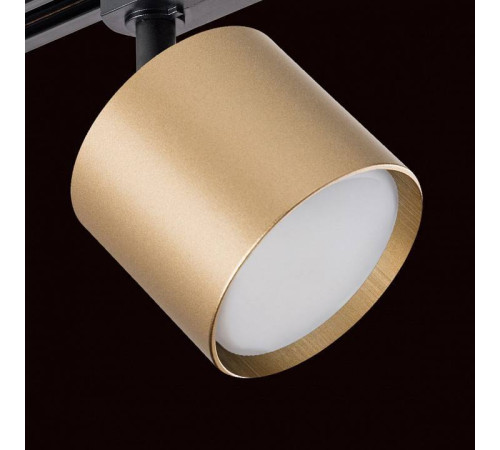 Светильник на штанге Lightstar Rullo R1T3490