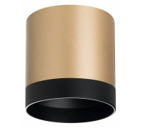 Накладной светильник Lightstar Rullo R34903487