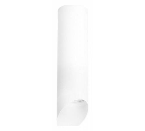 Накладной светильник Lightstar Rullo R649686
