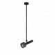 Светильник на штанге iLedex Technical Delta 2361-1 BK+GRP
