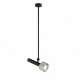 Светильник на штанге iLedex Technical Delta 2361-1 BK+SL