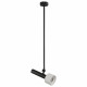 Светильник на штанге iLedex Technical Delta 2361-1 BK+WH