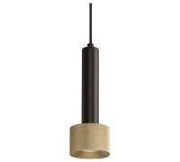 Подвесной светильник iLedex Technical Delta 2362-1 BK+BR