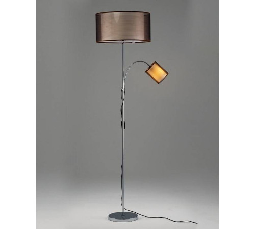 Торшер с подсветкой Moderli Room V10625-2F