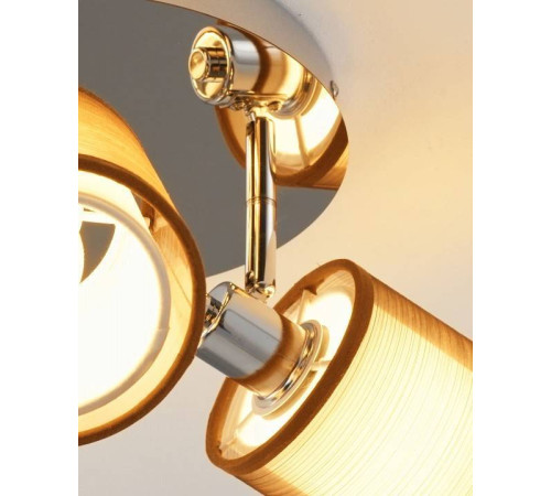 Потолочная люстра Moderli Room V10627-3C