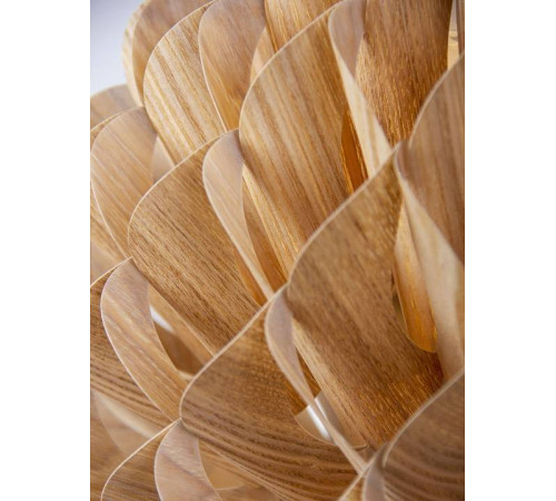 Подвесной светильник Manne Charlotte CL.7303-1BR