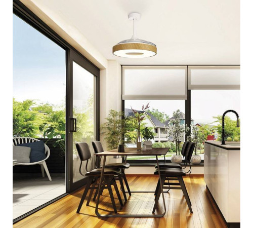 Светильник с вентилятором Mantra (люстры-вентиляторы) Coin 8217