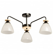 Люстра на штанге De City Дэла 15 635018003