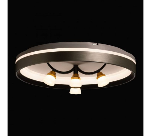 Потолочная люстра De City Норден 660014901