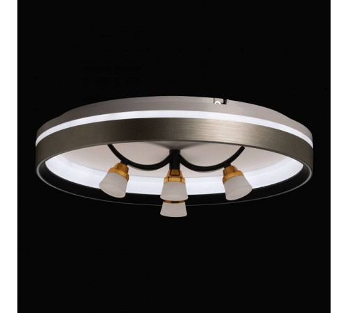 Потолочная люстра De City Норден 660014901