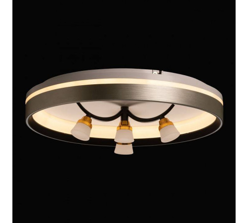 Потолочная люстра De City Норден 660014901