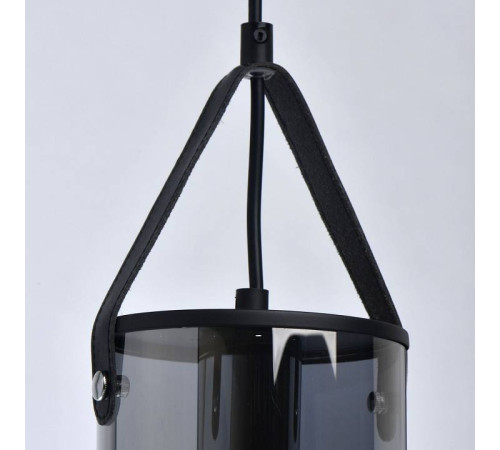 Подвесной светильник DeMarkt Тетро 14 673014701