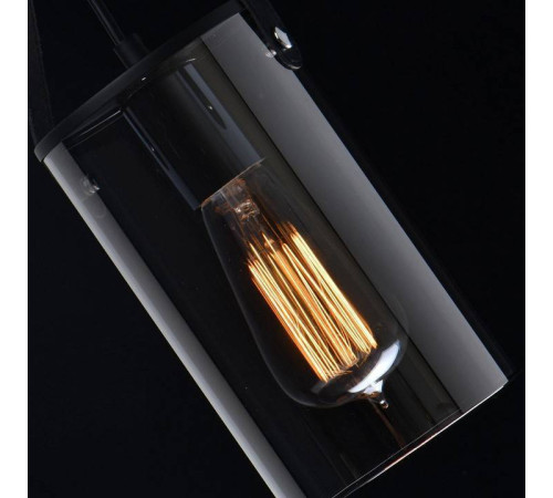 Подвесной светильник DeMarkt Тетро 14 673014701