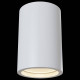 Накладной светильник Maytoni Conik gyps C003CW-01W