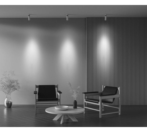 Потолочный светильник Maytoni Focus Zoom 12 Вт 2700K C055CL-L12W2.7K-Z-W