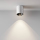 Накладной светильник Maytoni Alfa LED 12 Вт 4000 K C064CL-12W4K-RD-WB