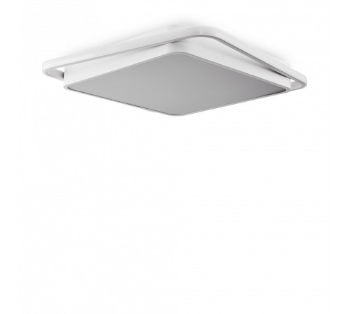 Накладной светильник Freya FR10030CL-L88W