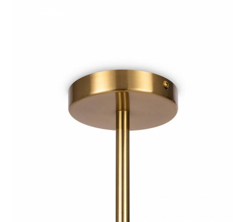 Светильник на штанге Freya Blossom FR5259PL-02BS