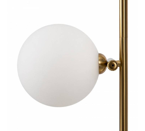 Светильник на штанге Freya Blossom FR5259PL-02BS