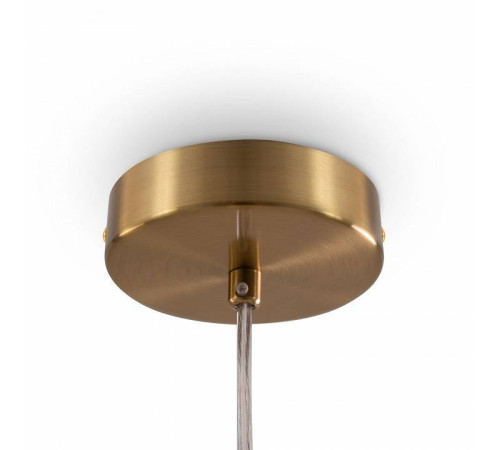 Подвесной светильник Freya Fero FR5366PL-01BS