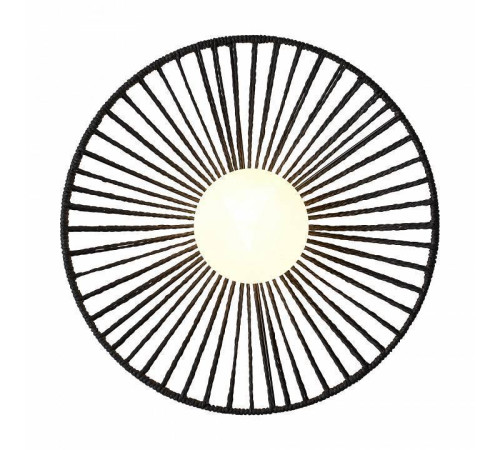 Накладной светильник Freya Cottage FR5405WL-01B2