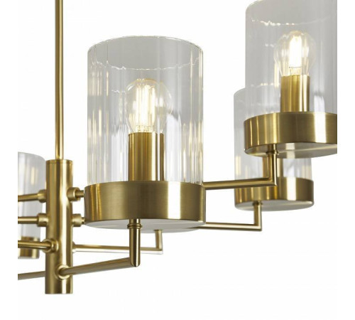 Люстра на штанге Freya Clip FR5426PL-08BS