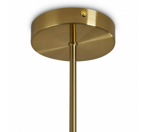 Люстра на штанге Freya Clip FR5426PL-08BS