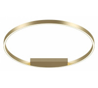 Накладной светильник Maytoni Rim MOD058CL-L50BSK