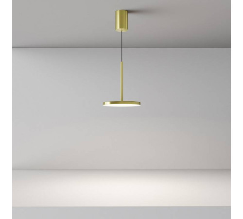 Подвесной светильник Maytoni Plato P076PL-L12W4K-BS