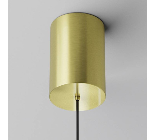 Подвесной светильник Maytoni Plato P076PL-L12W4K-BS