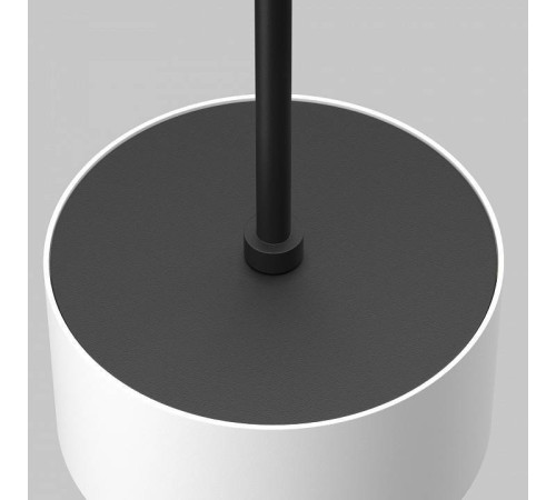 Подвесной светильник Maytoni Glare P102PL-12W4K-W