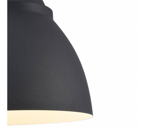 Подвесной светильник Maytoni Bellevue P534PL-01B