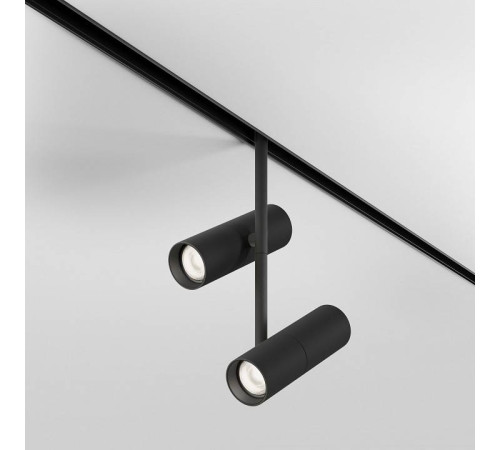 Светильник на штанге Maytoni Elti Duo TR005-2-2X12W4K-B