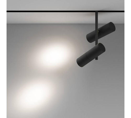 Светильник на штанге Maytoni Elti Duo TR005-2-2X12W4K-B