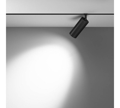 Светильник на штанге Maytoni Focus LED TR032-2-20W4K-M-B
